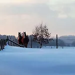 Bed & Breakfast La Chabetaine Morhet