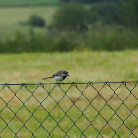 La Chabetaine B&B 4*