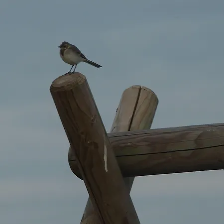 La Chabetaine Bed & Breakfast 4*