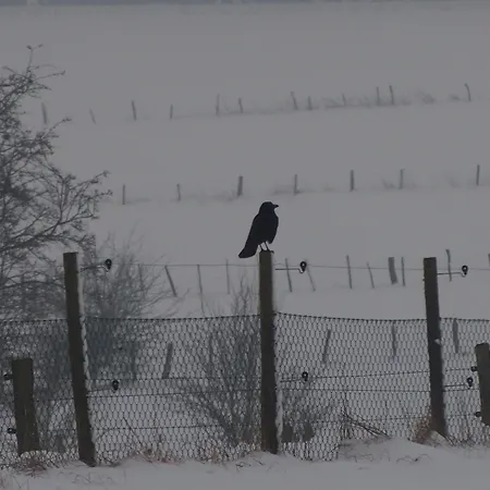 Bed & Breakfast La Chabetaine Morhet