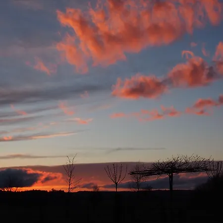 La Chabetaine Bed & Breakfast Morhet