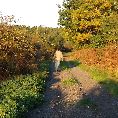 Bed & Breakfast La Chabetaine Morhet