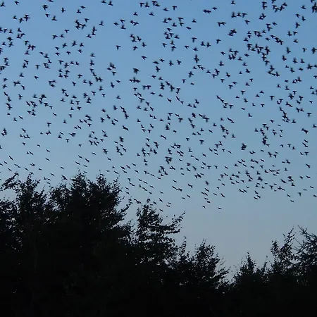 La Chabetaine B&B 4*