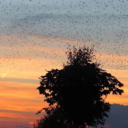 La Chabetaine 4* Morhet