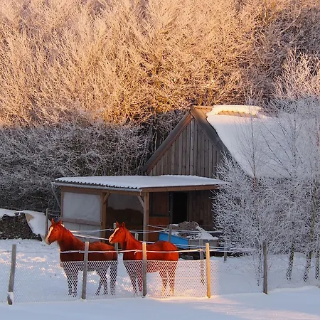 Bed & Breakfast La Chabetaine Morhet